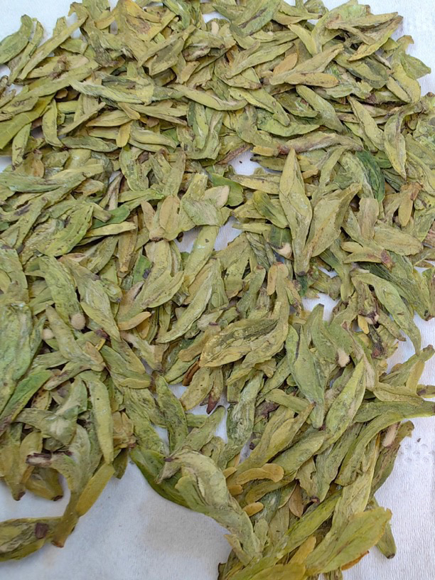 2024年龙井绿茶浓香型豆香型