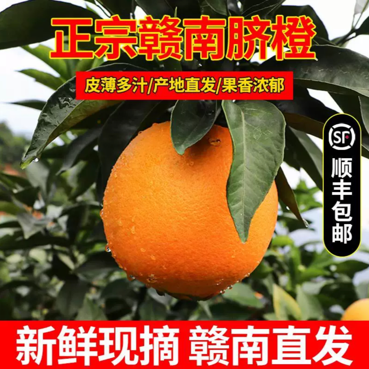 【顺丰包邮】正宗赣南脐橙香甜多汁橙香味浓郁现摘现发净重5/9斤