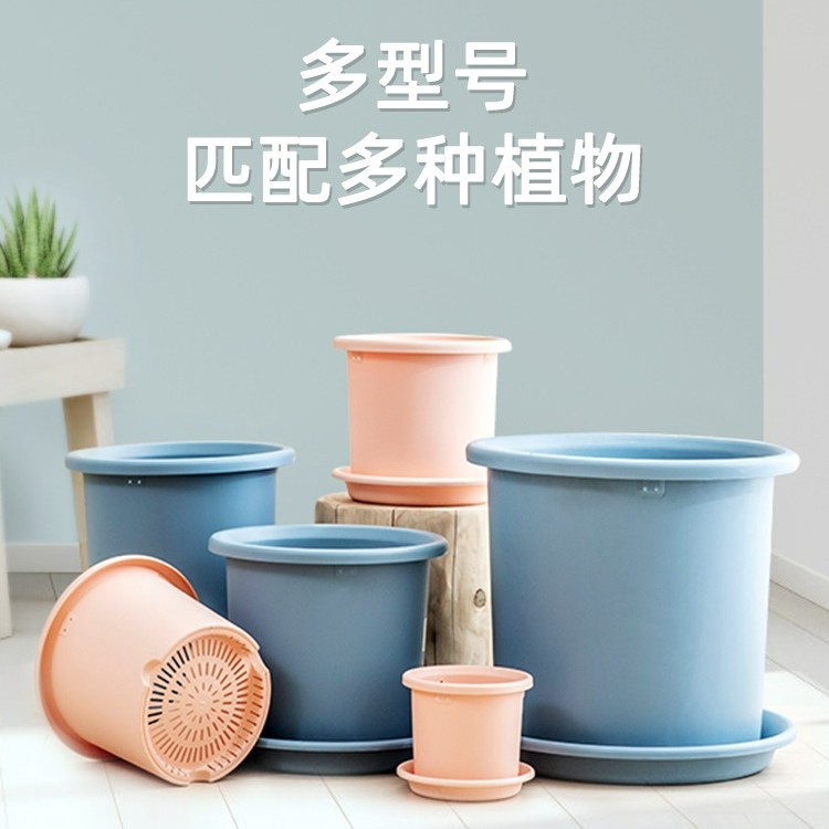 虹越爱丽思进口树脂花盆透气控根家庭种菜盆