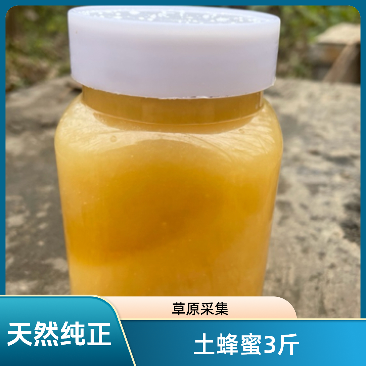 土蜂蜜【3斤】蜂场直销草原野花蜜自然酿造成熟 结晶百花土蜜采集