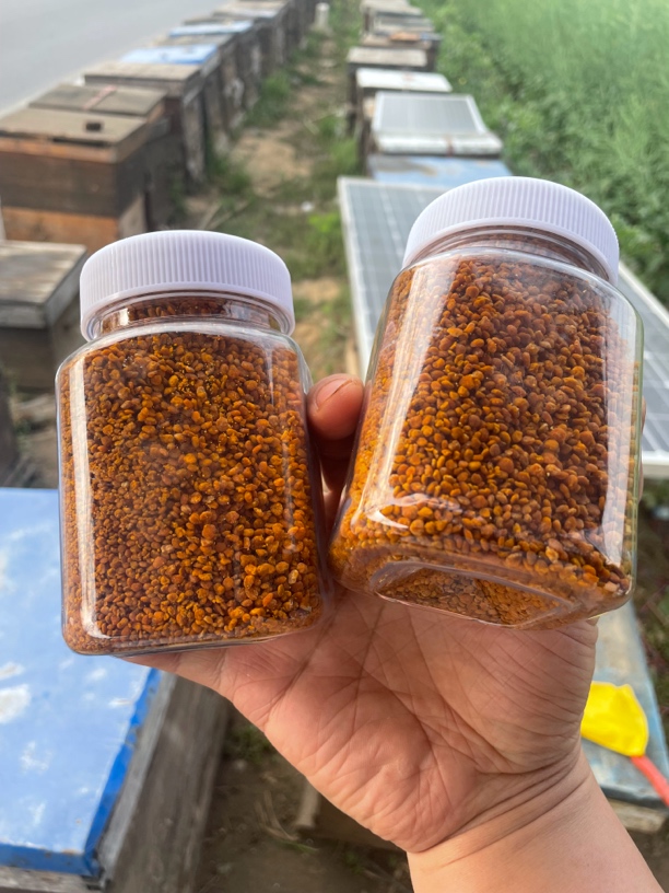 茶叶花粉［4瓶］颗粒饱满自然晾晒蜂厂直发颜色鲜艳过筛精选营养