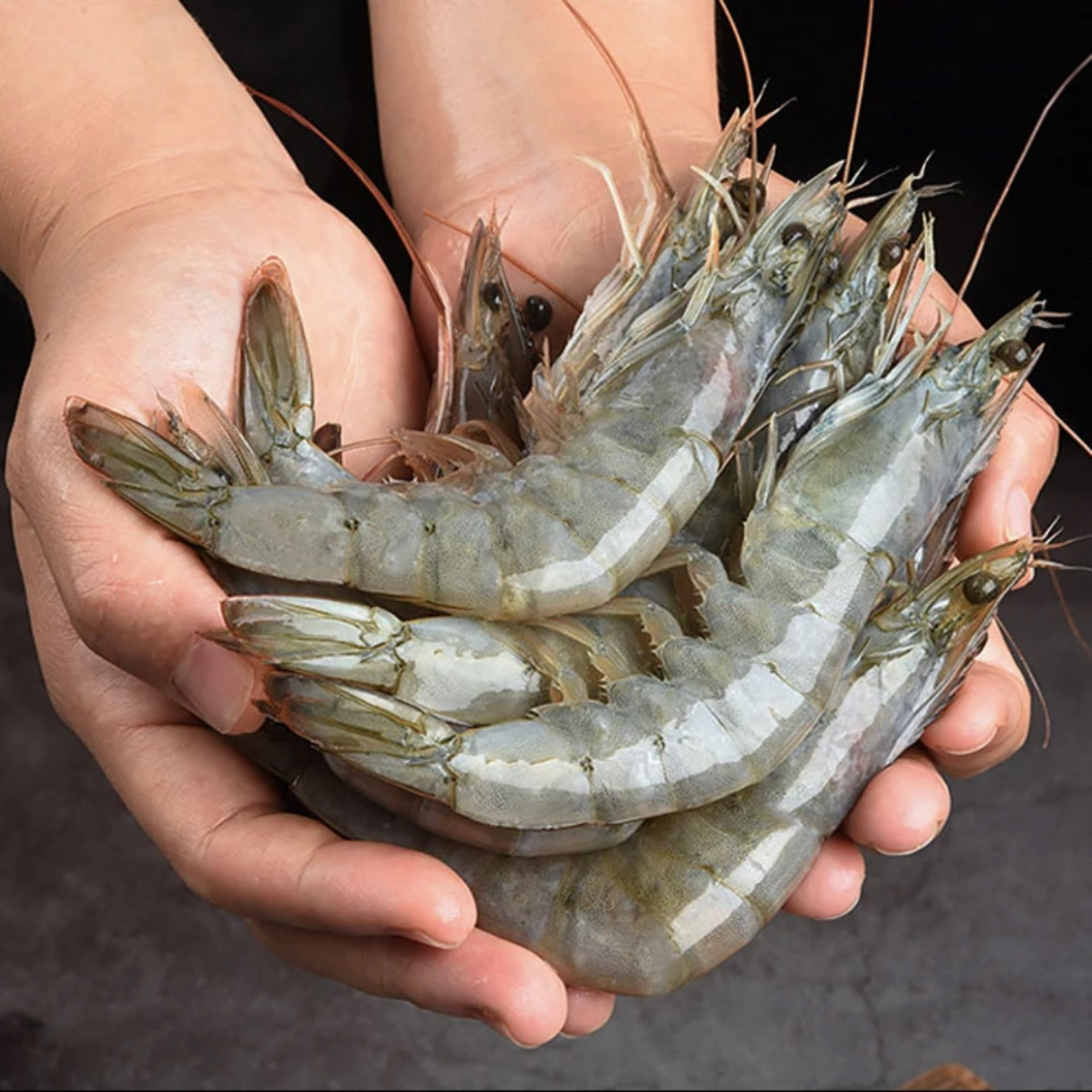 【小鱼儿】20-30规格大虾 3斤/盒*1盒 10-14只/斤 海洋大虾肉质鲜甜