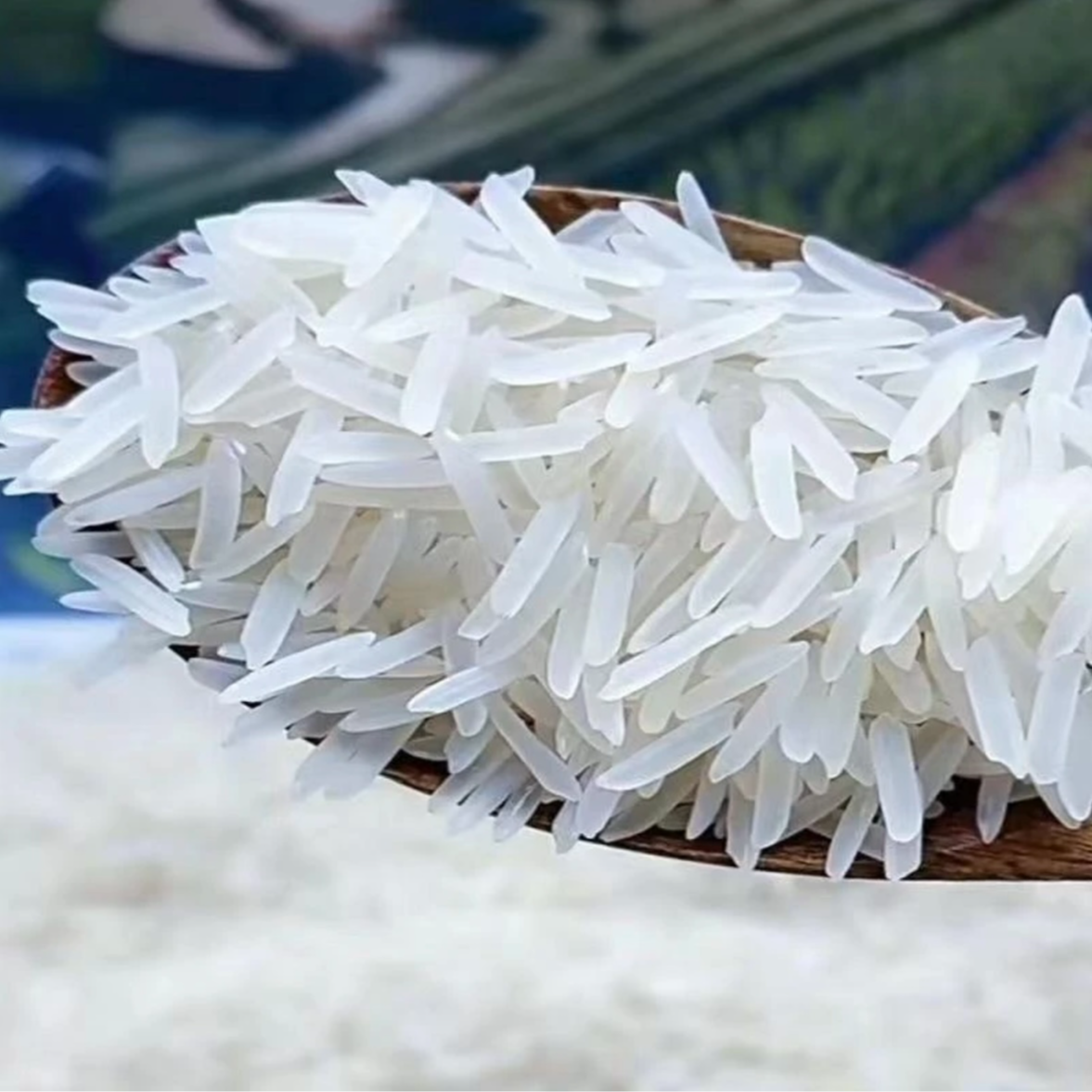 【到手一袋】有问题联系客服  非肥皂盒