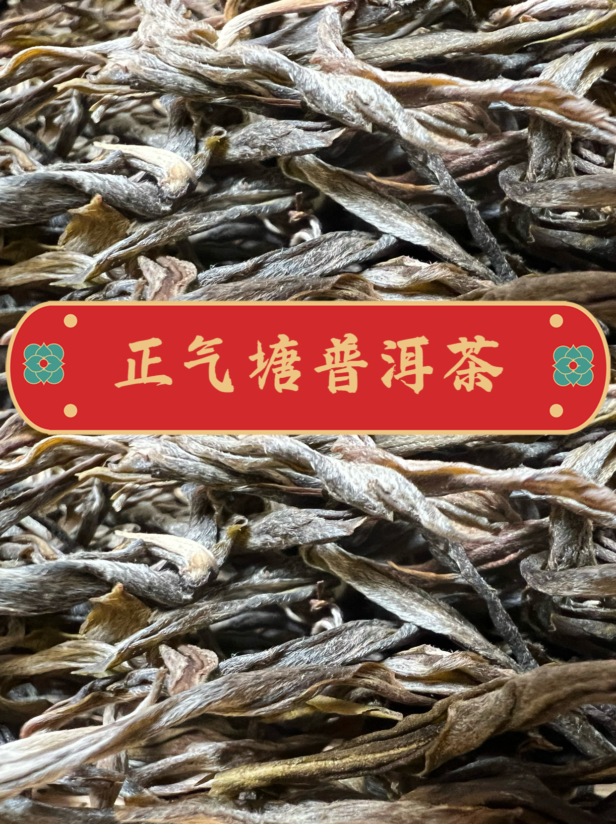 2023年正气塘古树头春普洱生茶200克一泡散茶香甜淳厚古树茶农直