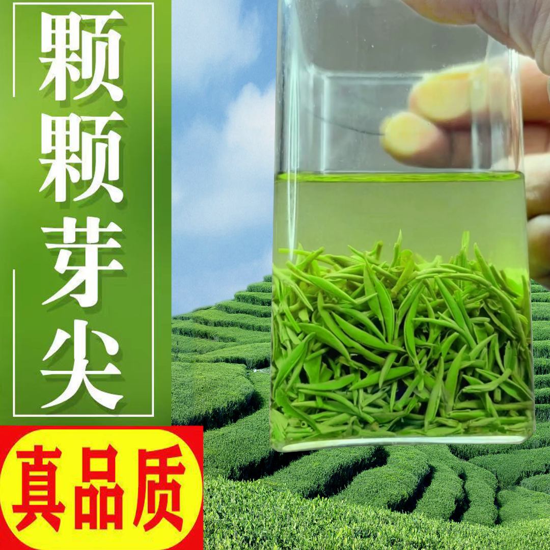 谭河信阳毛尖雨前中芽浓香耐泡型春茶嫩芽纯芽尖过节高档送礼盒装