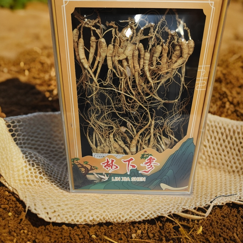 中秋佳节送礼送健康林下参