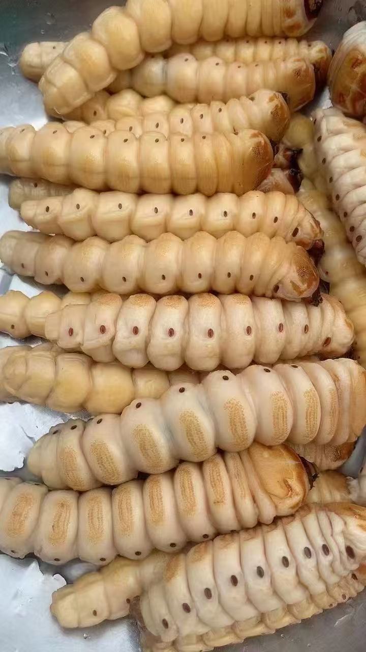 云南特产大柴虫500/1000g包邮到家