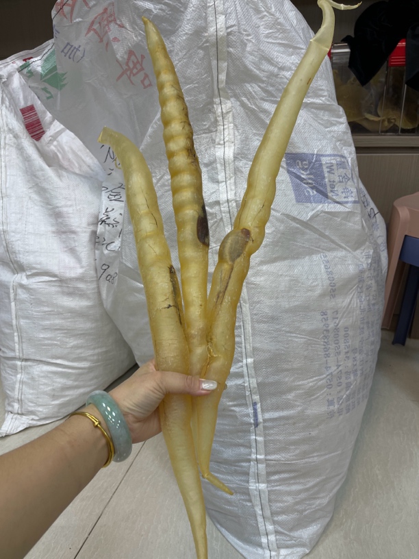 泽娜 本港野生手钓鳗鱼膘 月子胶 质量货