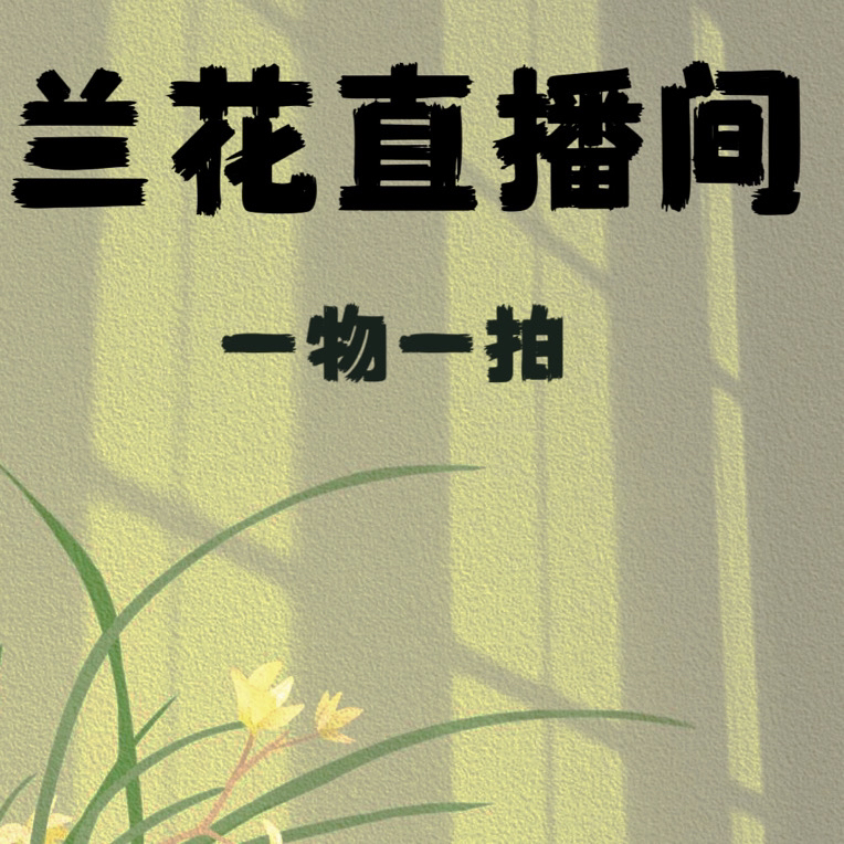 兰花直播一物一拍(直播间选好在拍）
