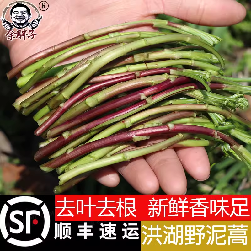余胖子野新鲜泥蒿3斤去叶净菜当季鲜嫩农家蔬菜芦篙黎蒿藜篙篱蒿