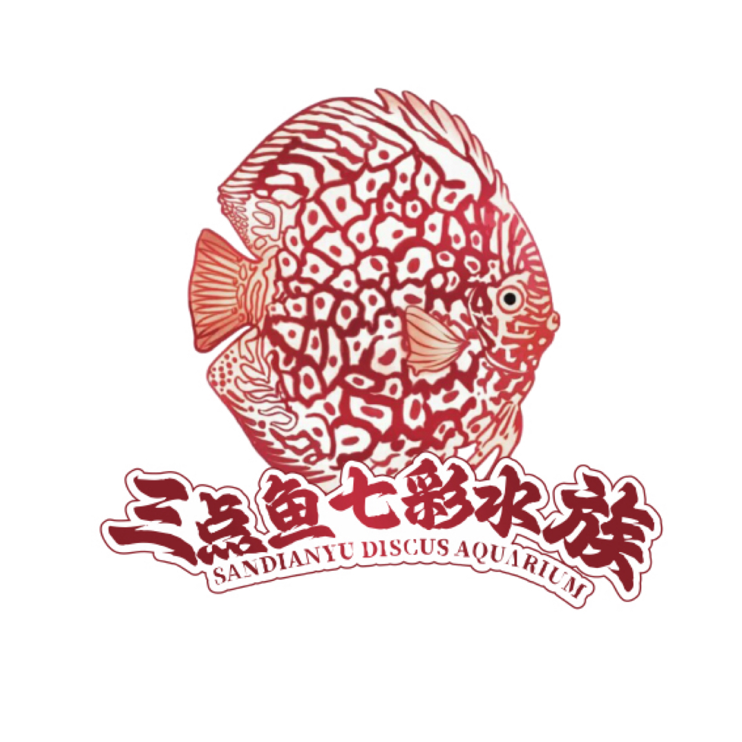 七彩神仙鱼观赏鱼直播间专拍