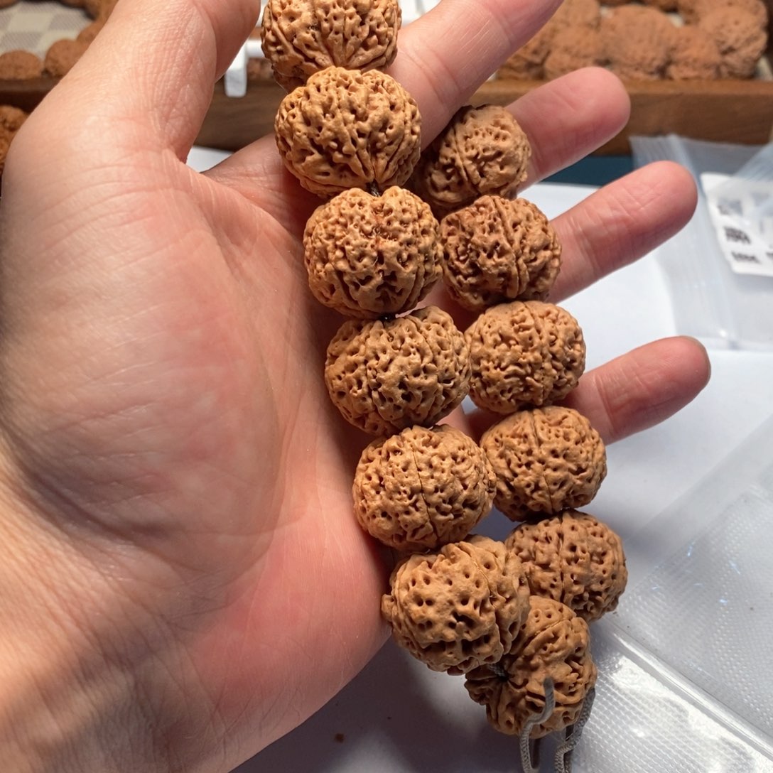 金刚菩提手串尺寸27mmmm古龙籽