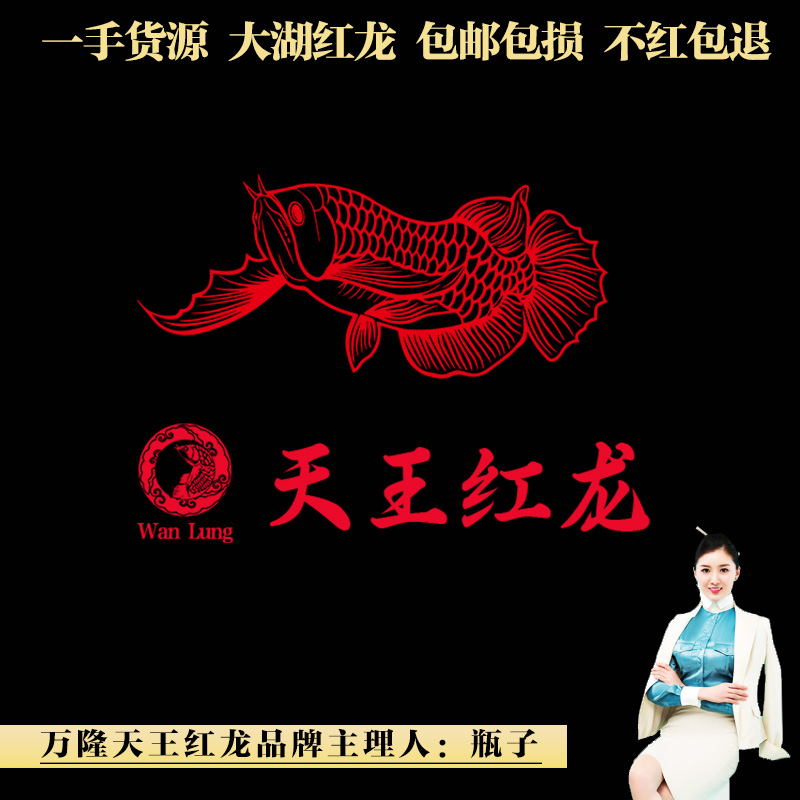 万隆天王万隆天王红龙鱼印尼红龙发货活体