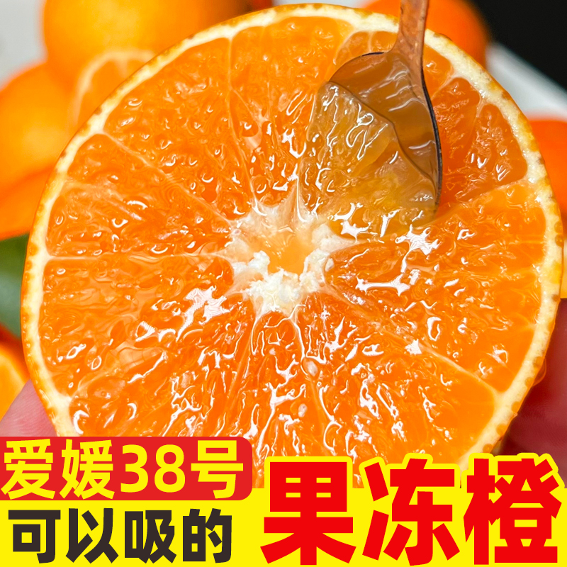 与辉同行【东方甄选】四川眉山爱媛38号新鲜果冻橙包邮皮薄多汁现摘