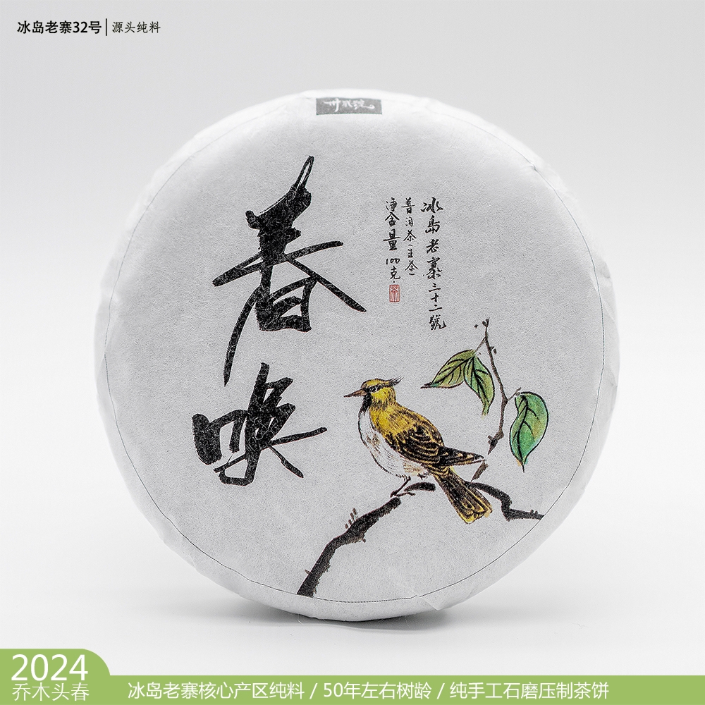 冰岛老寨32号2024年头春茶乔木茶