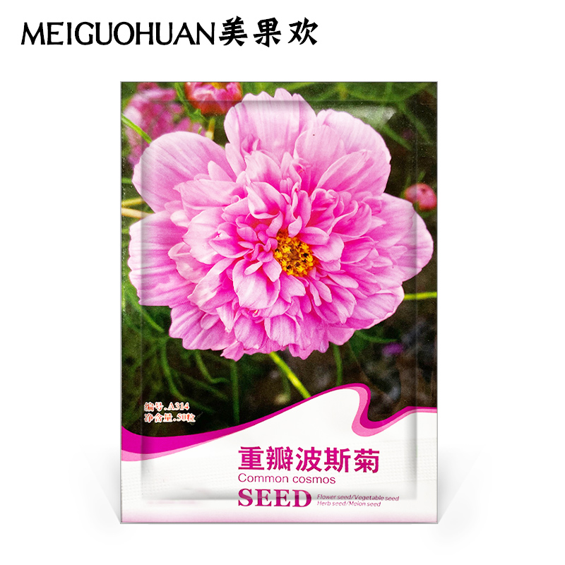 波斯菊花籽重瓣格桑花花种子四季播种开花庭院室内外品质种孑颗粒