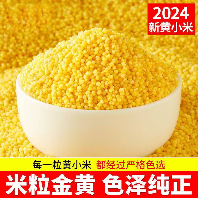 沂蒙山黄小米当年新米