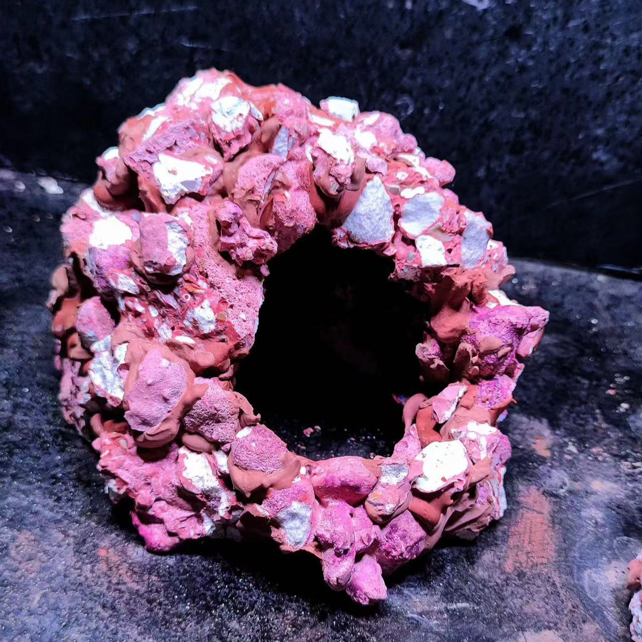 紫色森林人造石虾虎窝