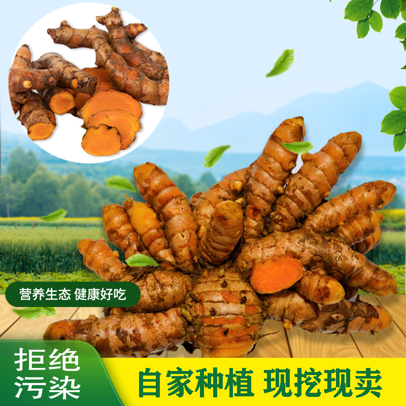姜黄新鲜现挖广西野生小黄姜月子姜老姜产后姜黄现挖1斤-5斤包邮
