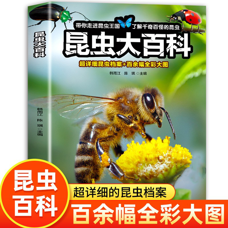 昆虫大百科      