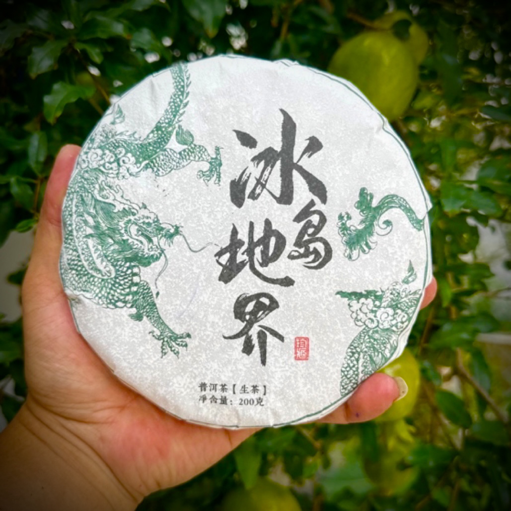 冰岛地界  2024年古树纯料 生茶（200克饼）