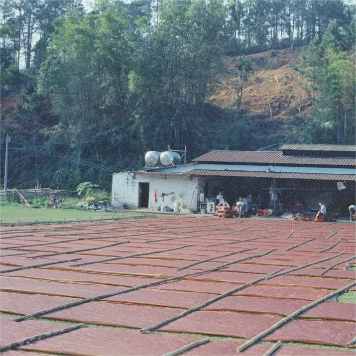 江南【大喜丝绸-金钱爆】大喜]2025高奢定制服装面料