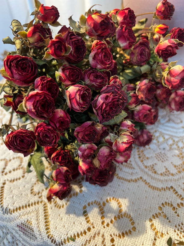 【干花】复古风系列巧克力泡泡干花真花