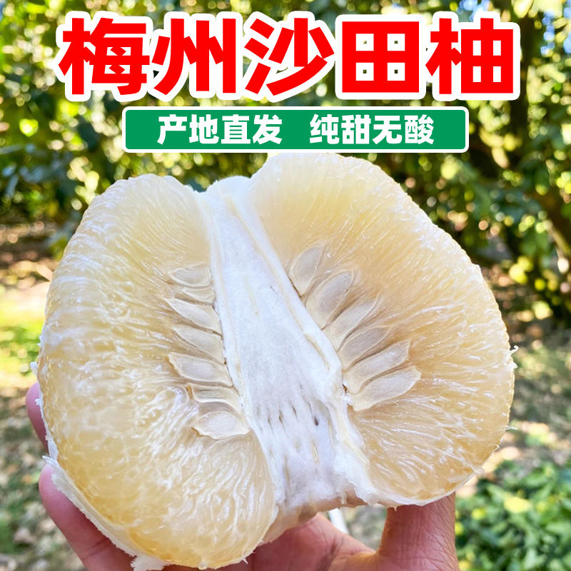 【纯甜无酸】正宗梅州沙田柚梅县新鲜当季水果现摘现发