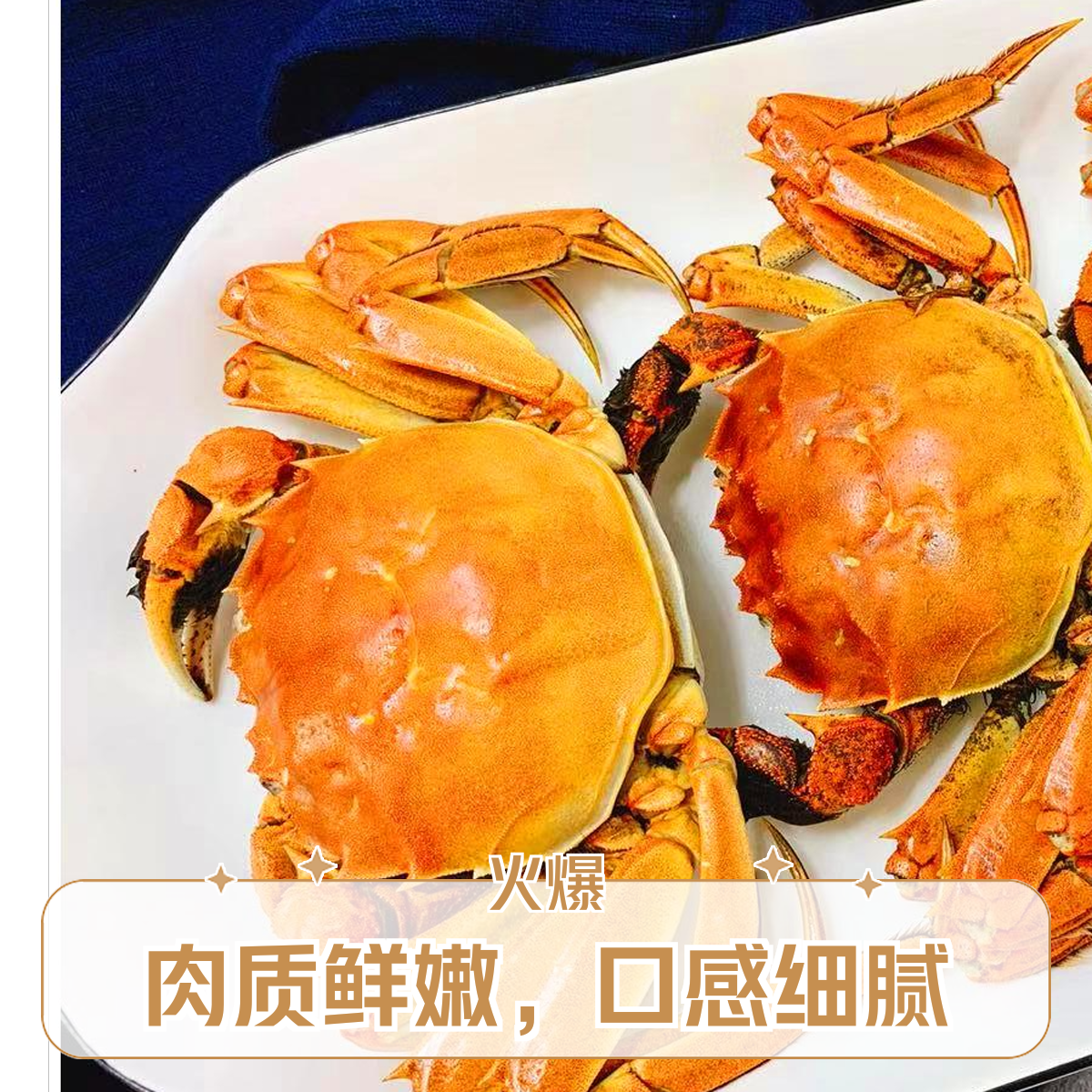 【活蟹现发】盘锦河蟹 全公蟹12只（2.7-3.0两/只）礼盒
