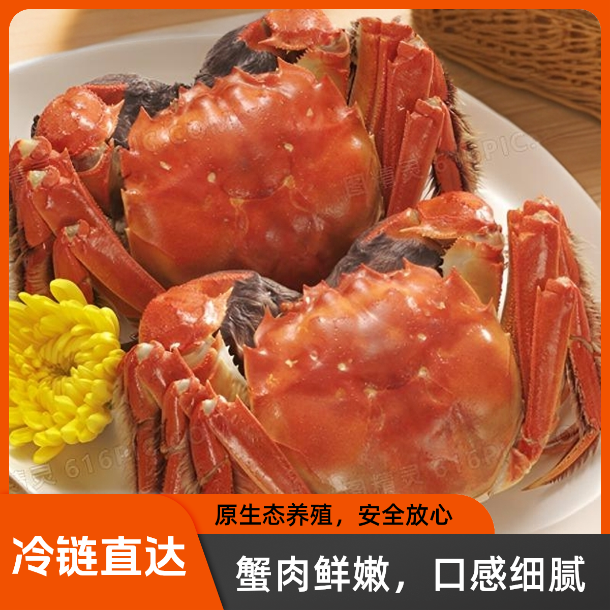 【活蟹现发】盘锦河蟹1.8-2.1两母蟹 共15只冷链直达
