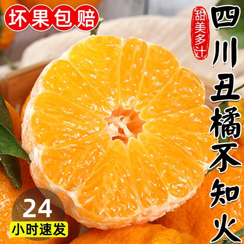 【现摘现发】正宗四川不知火丑橘丑桔新鲜水果入口化渣脆甜爽口多汁