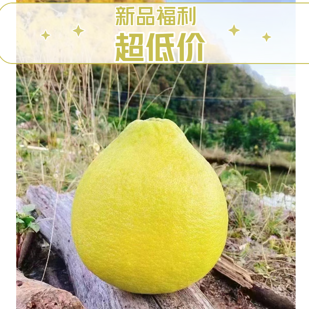 【正宗】广东梅州梅县沙田柚纯甜松口金柚基地质量保证售后保障