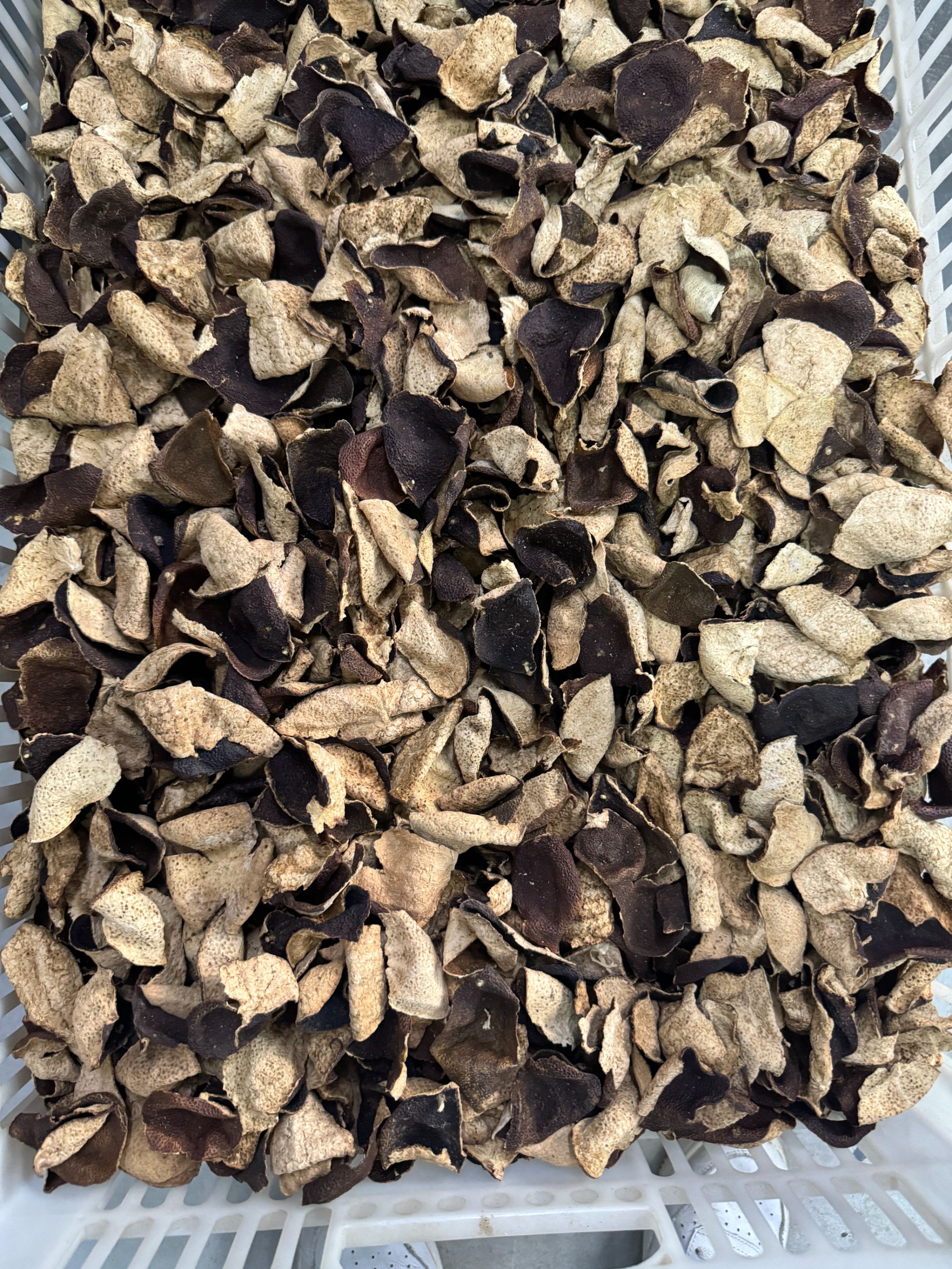 2016南坦大红整皮新会干仓陈皮正宗新会陈皮晒干清新健康