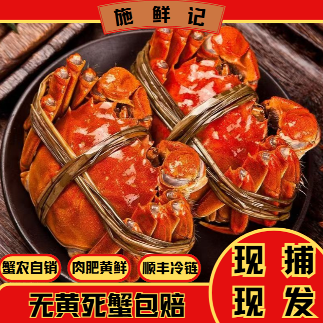 活蟹公河蟹现货现发【8送2到手10只】精品螃蟹 1.7-1.4两顺丰包邮