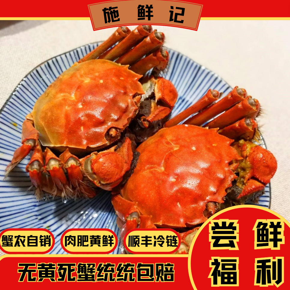 活蟹 现货现发【8送2到手10只】精品螃蟹 2.7-2.2两顺丰冷链包邮