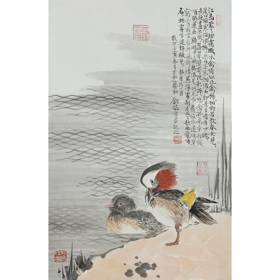 江岛蒙蒙 鸳鸯 带托底-赵钦政 国画 花鸟画 家居挂画 纯手绘