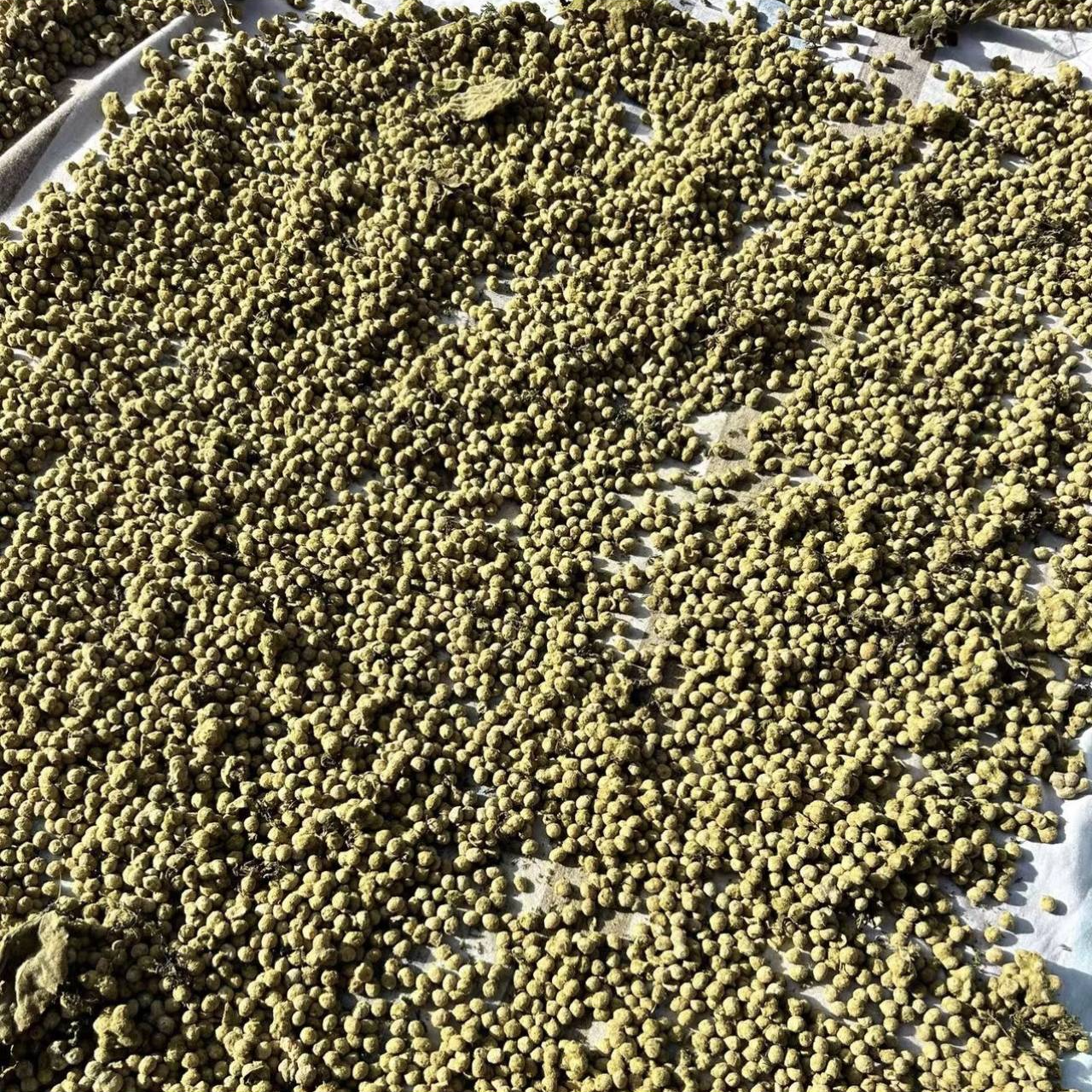 【藏姐纯手工】  霉豆子  自家做的
