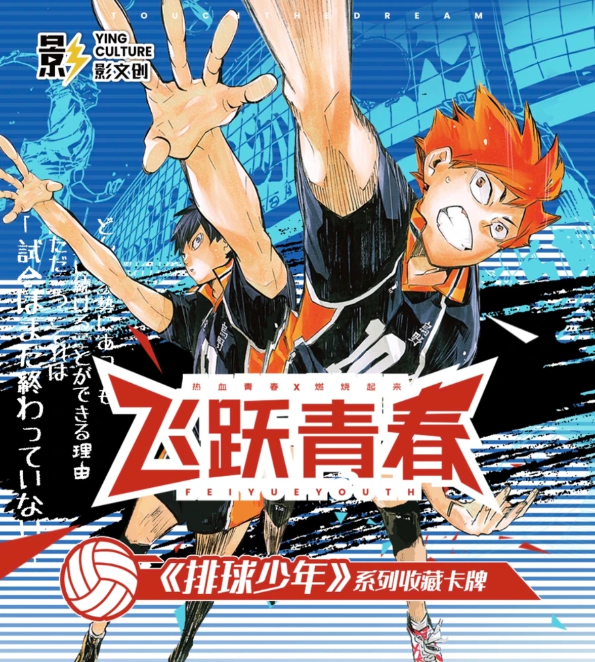 【端盒宠日谷】影文创【排球少年-飞跃青春】收藏卡牌