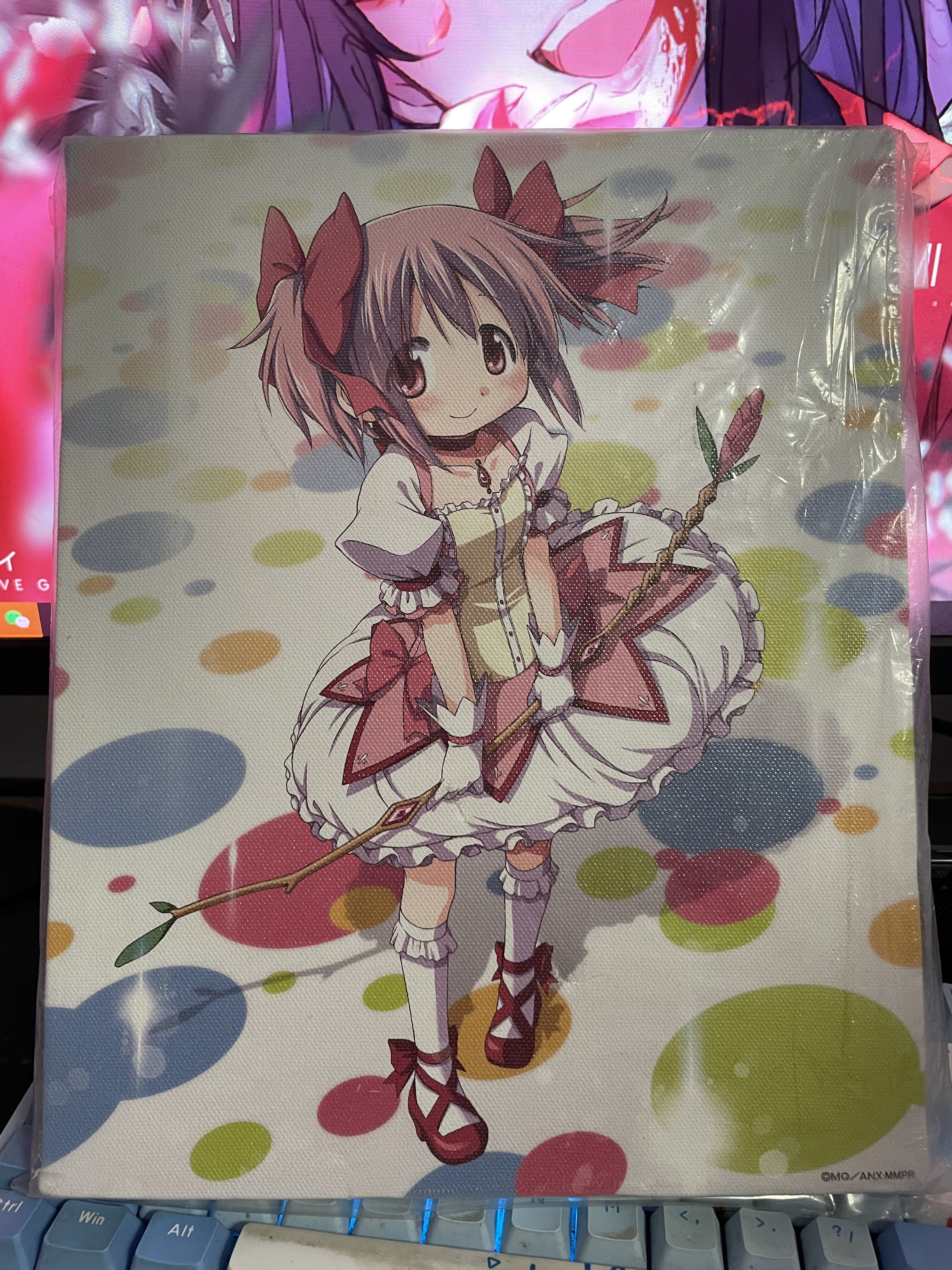 魔法少女小圆 鹿目圆 小圆 帆布画 动漫周边