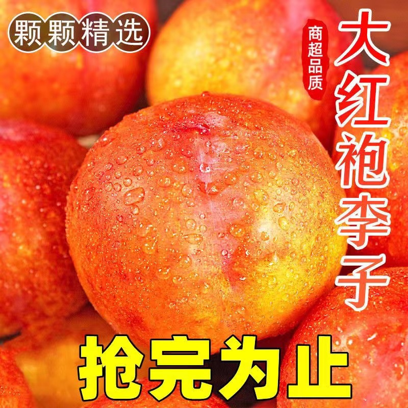 正宗大红袍当季应季水果大李子大果东北大红袍干碗离核酸甜口感