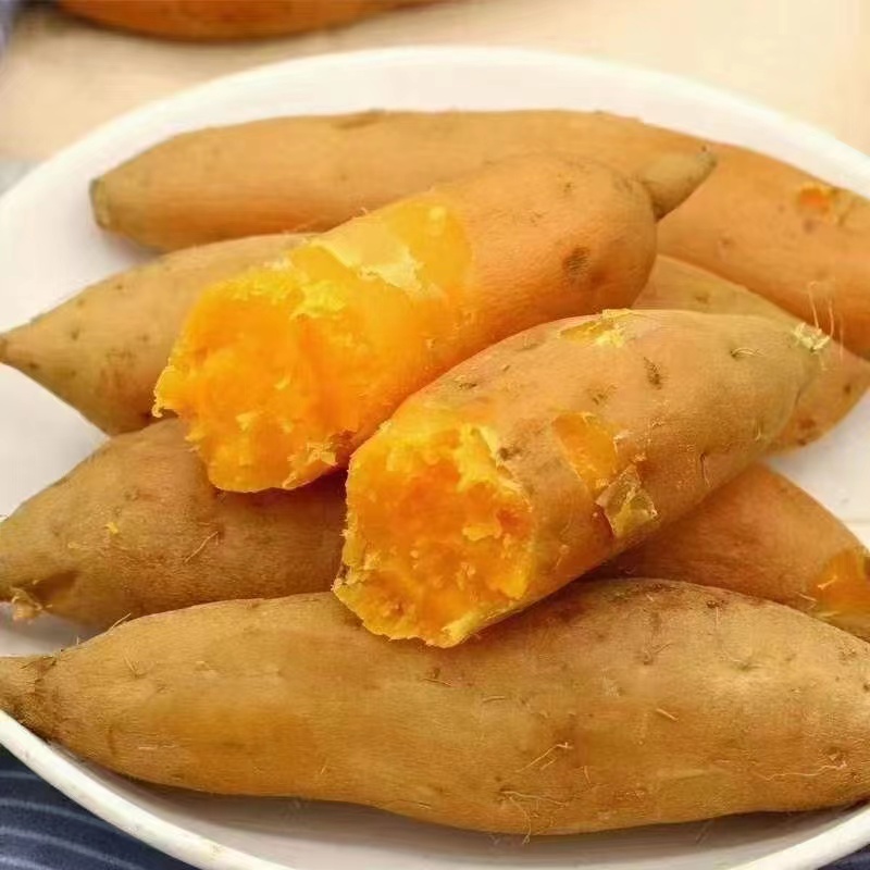 贵州紫云红芯红薯原产地直发 现挖现发软糯香甜地瓜番薯五斤装