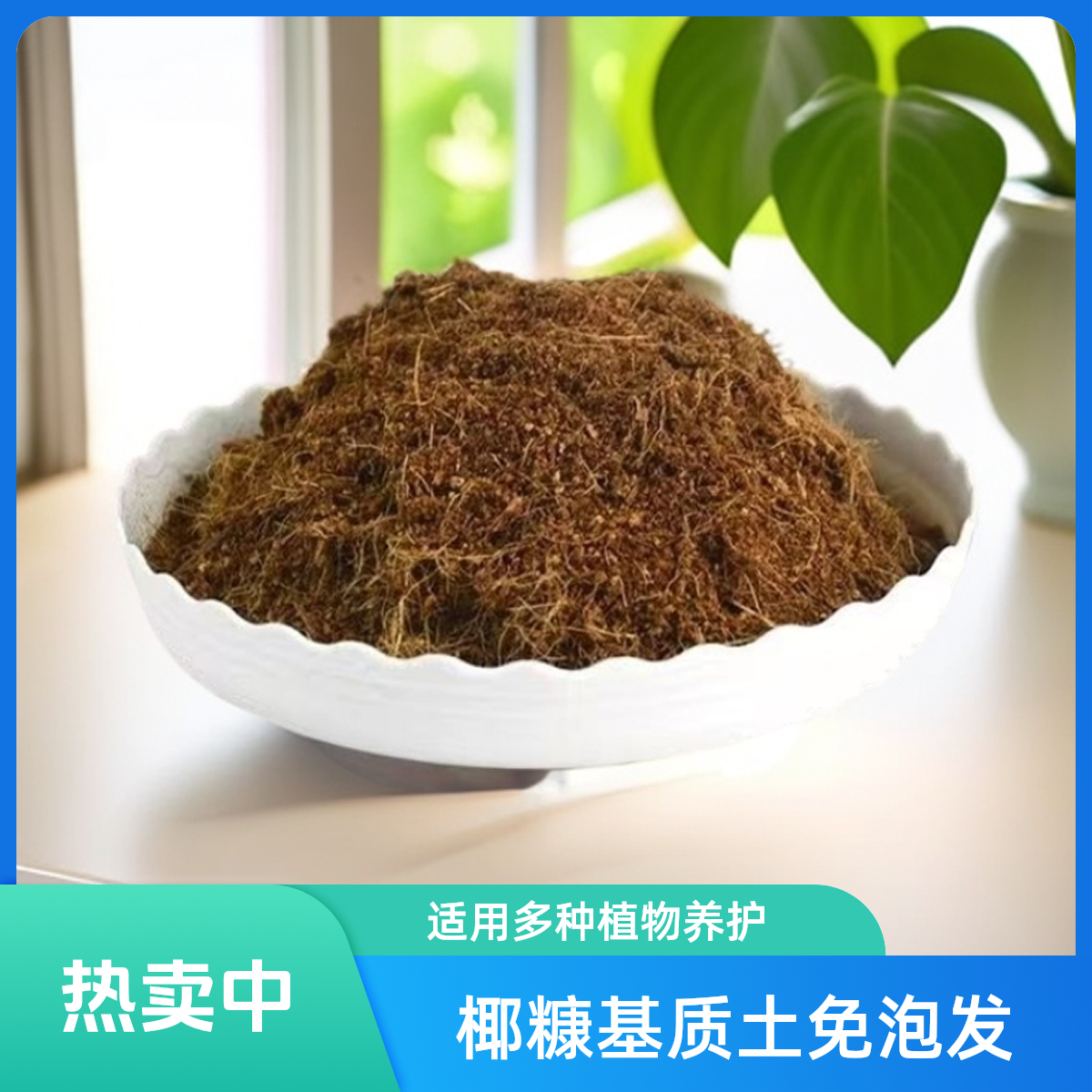 椰糠基质土低盐养花适用扦插育苗盆栽地栽月季兰花天然无菌适合