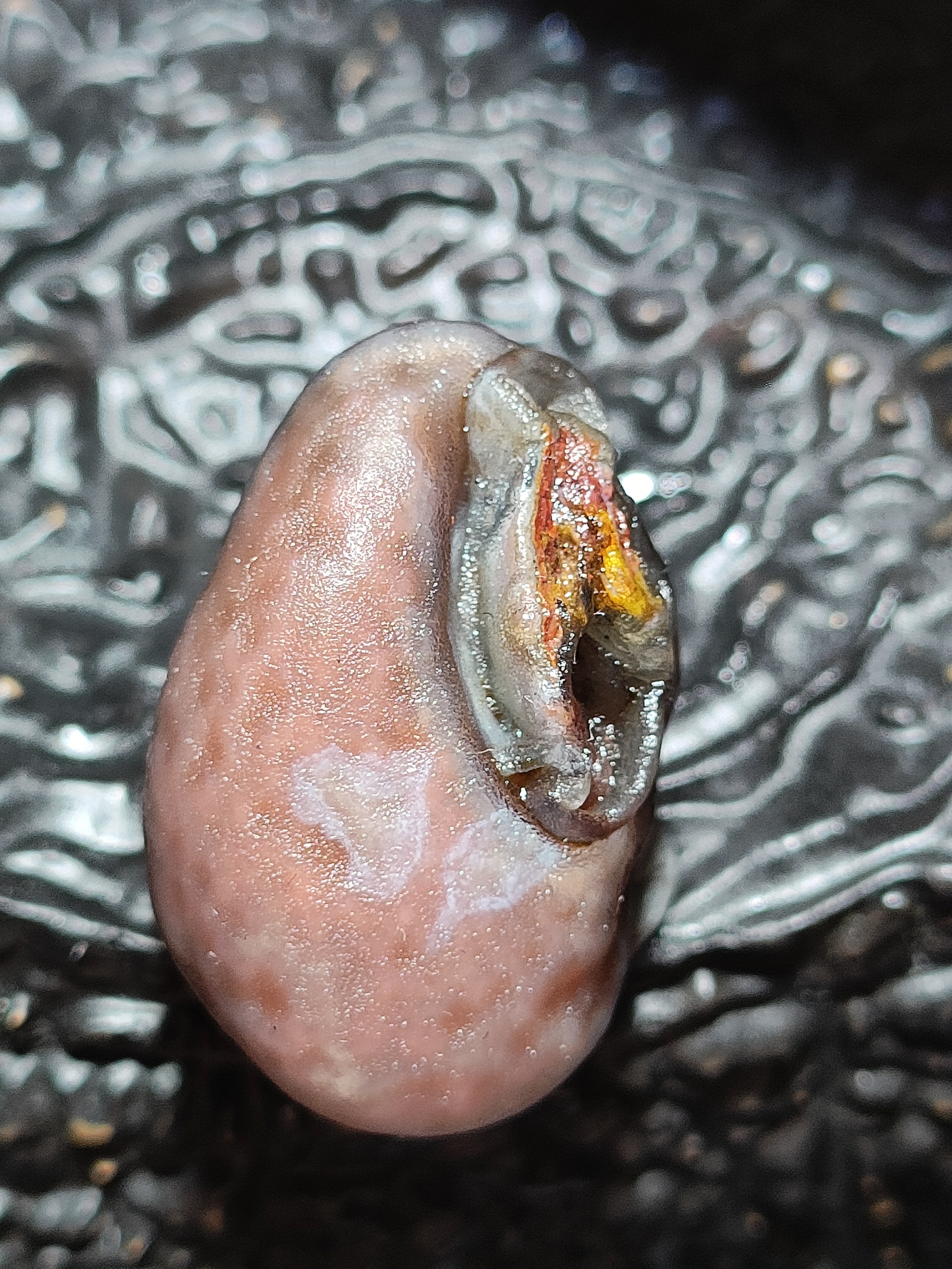 戈壁石头摆件及饰品