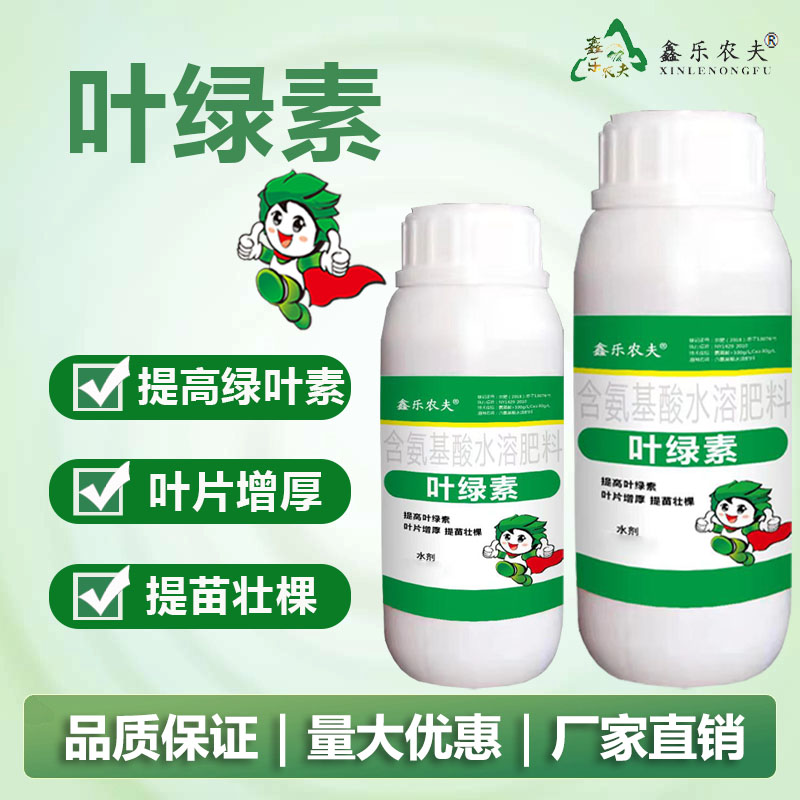 叶面肥叶绿素黄叶水溶家用植物转绿小叶叶绿素提高光合作用壮苗