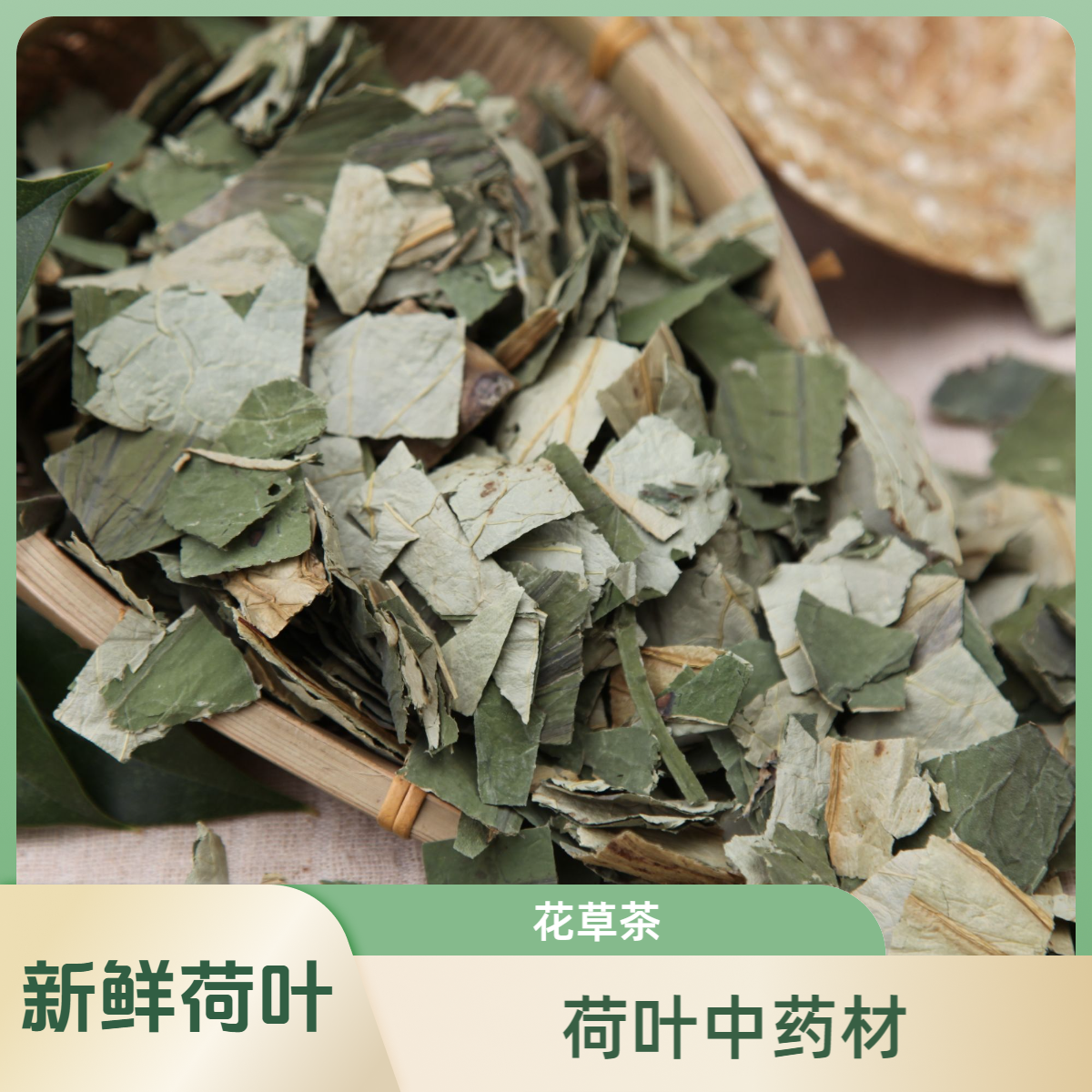 荷叶中药材新货干荷叶片新鲜正品常备采摘泡茶无硫