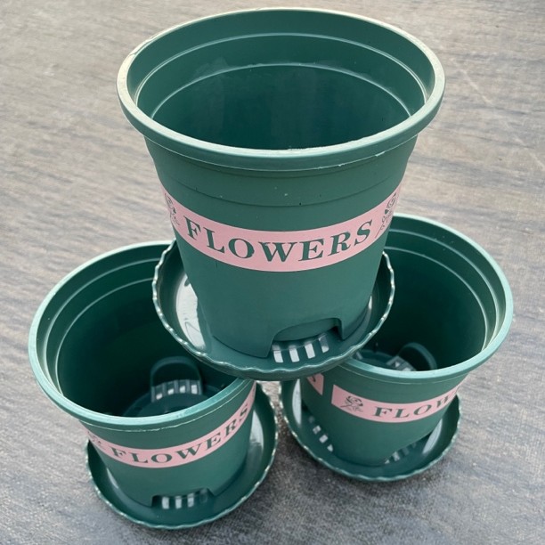 花卉绿植必备1加仑花盆✖️10