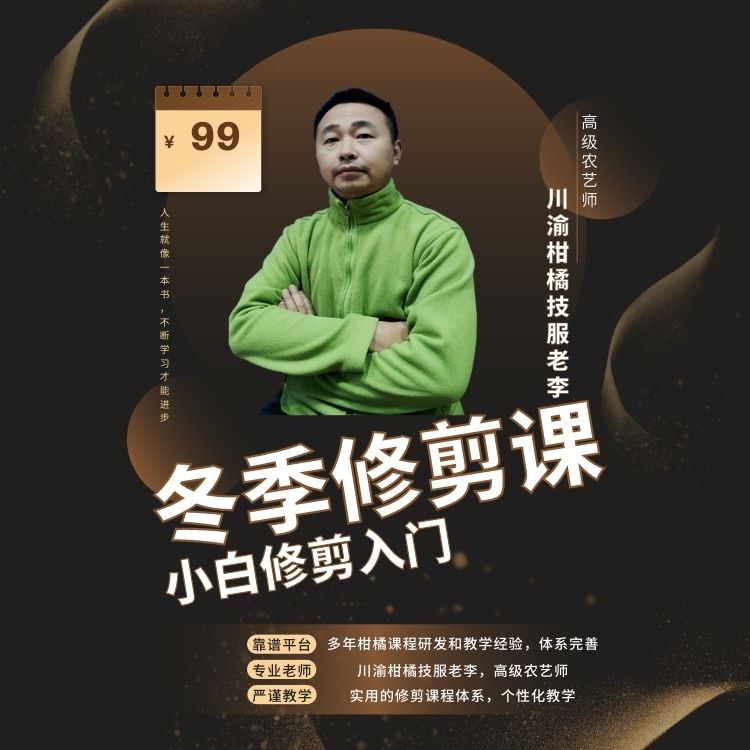 柑橘脐橙修剪技术视频，柑橘修剪怎样让果实内移，如何上控下促