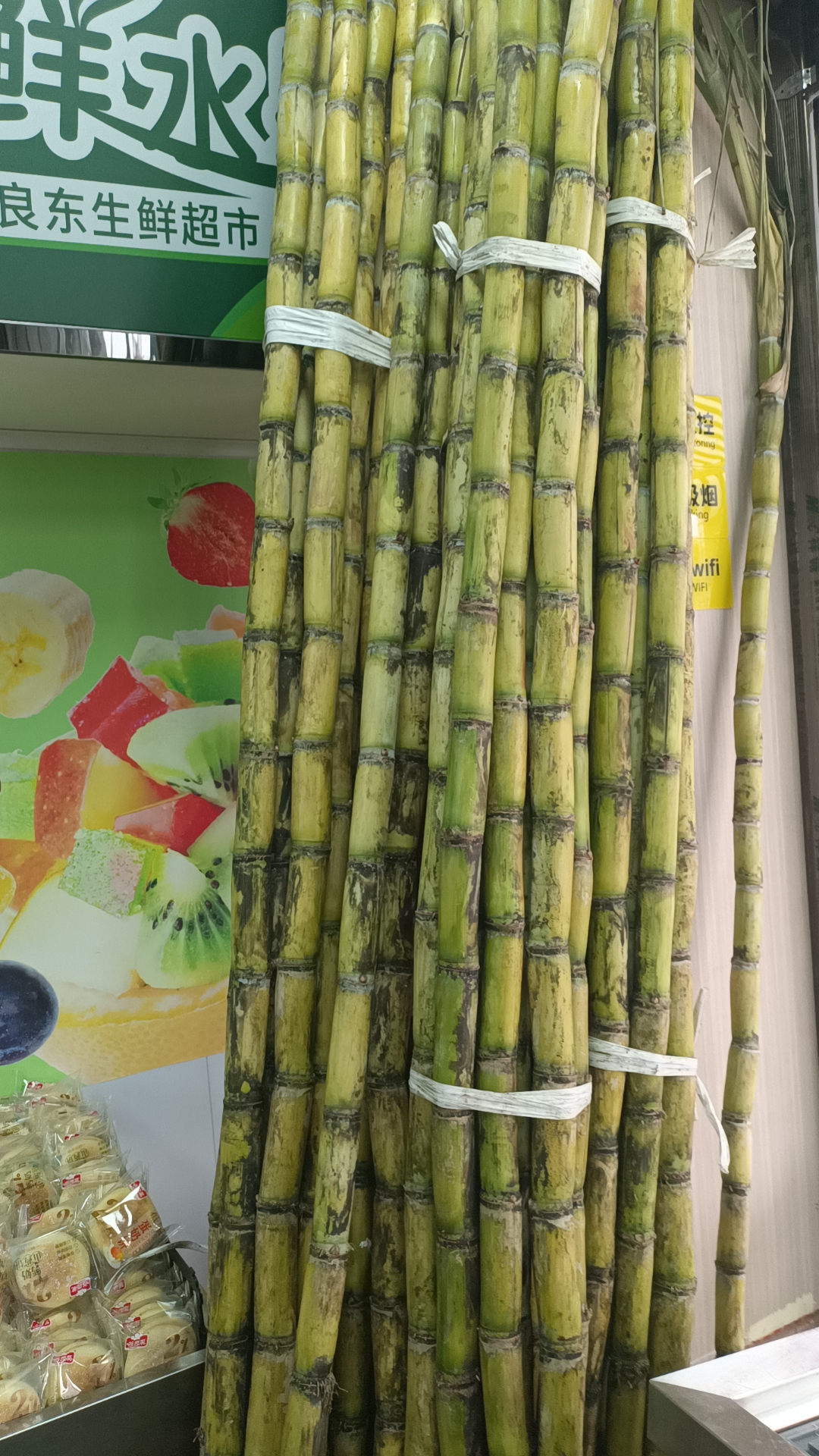 黄金甘庶1根(约8斤左右)