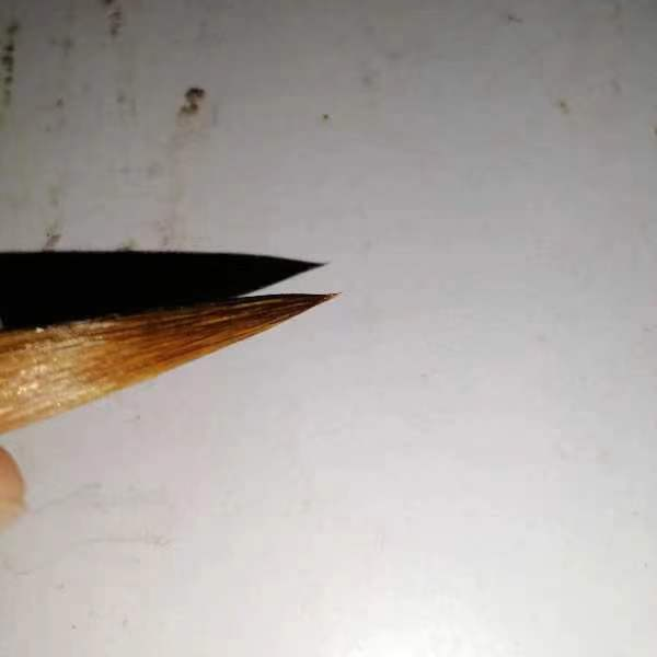 7支红笔杆大号狼豪笔