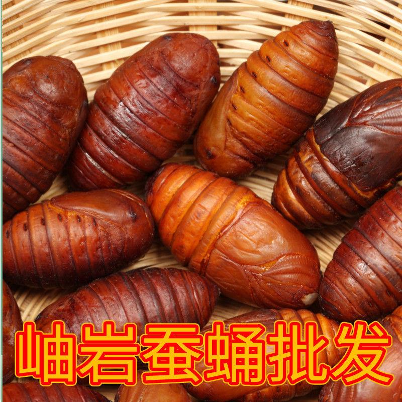 岫岩蚕蛹特级大黄蛹野生柞蚕黑蛹二黄蛹烧烤商用辽宁特产商用